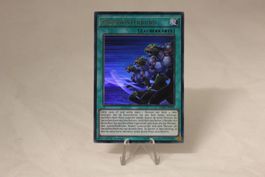 Geschwisterbund UR - Yu-Gi-Oh!