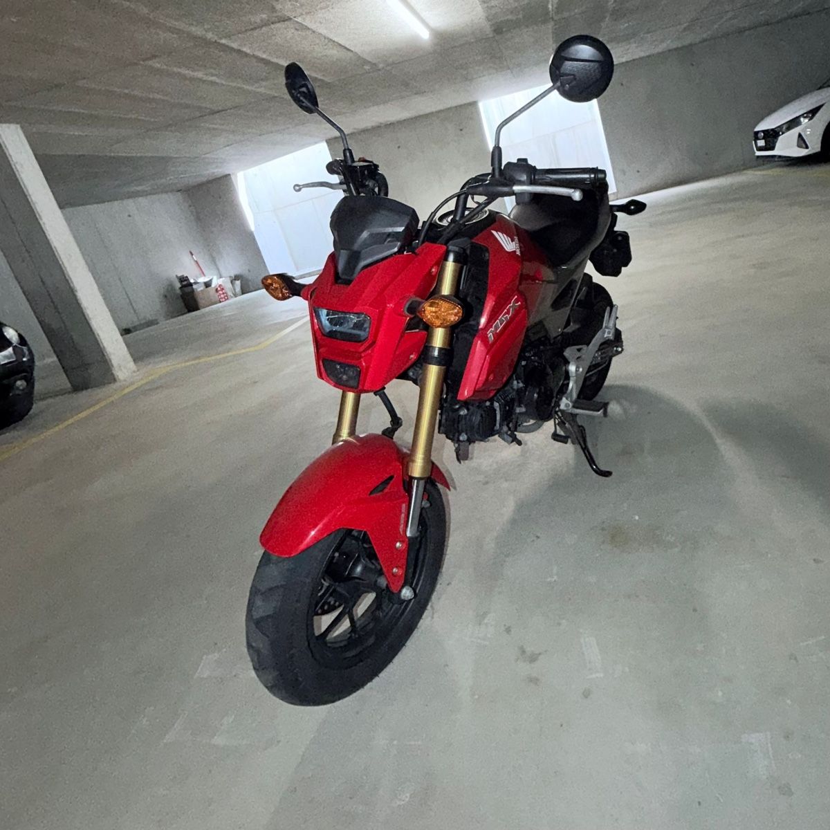 Strada: Honda MSX 125 – Usato da Servion venduto da Mils_Lvnde