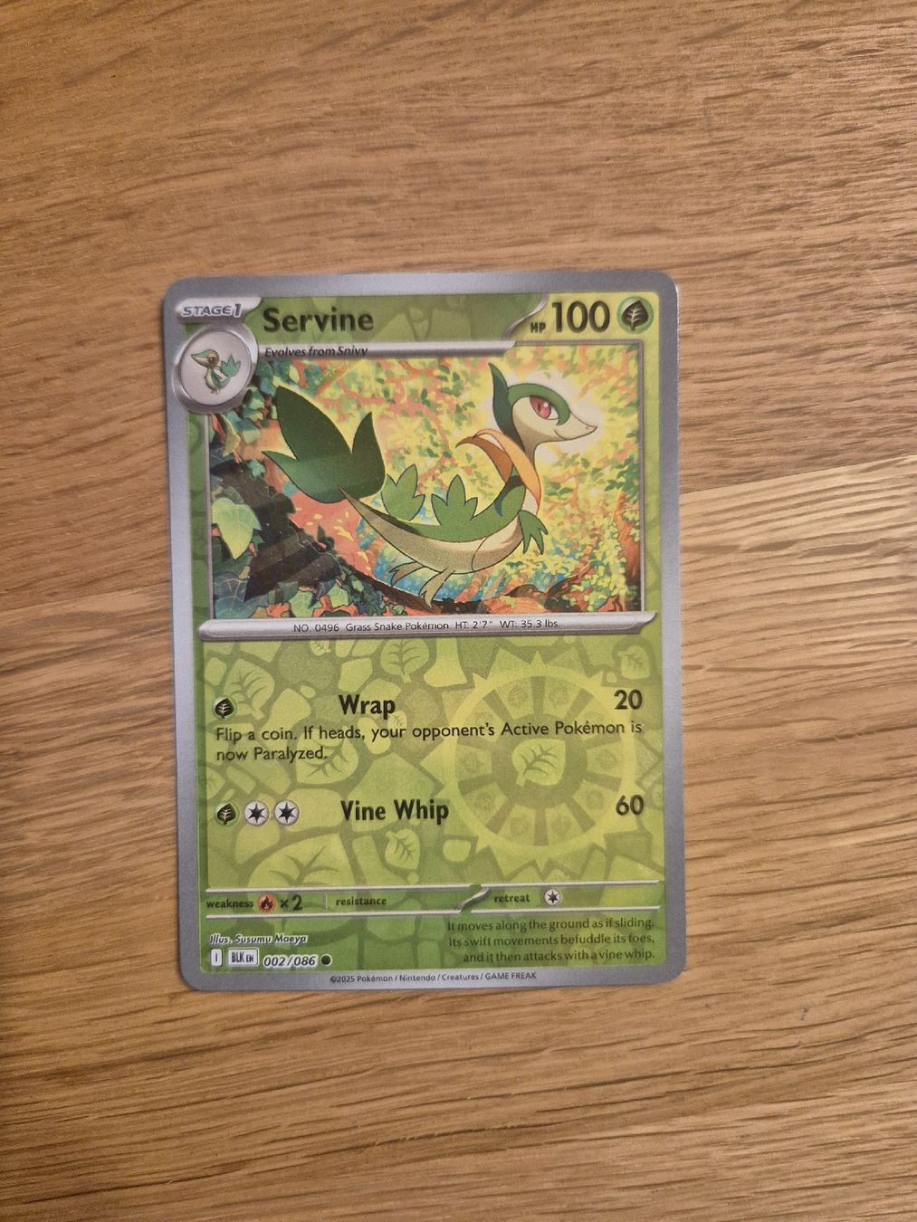 Pokémon Sammelbilder & Trading cards: Servine Reverse Holo Pokemon BLK 002/086 EN – Neu (gemäss Beschreibung) aus Altdorf UR von Josi5588 1