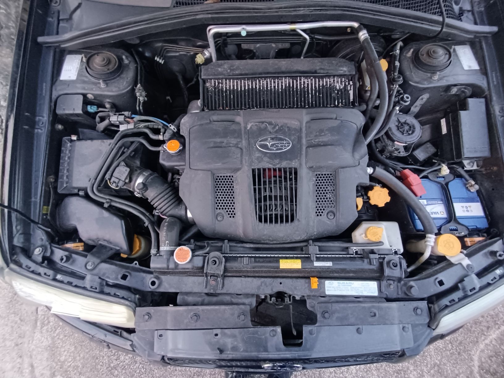 Subaru Autos: Subaru Forester ab MFK 03.2026 – Defekt aus Nesslau von cc_kuun 3