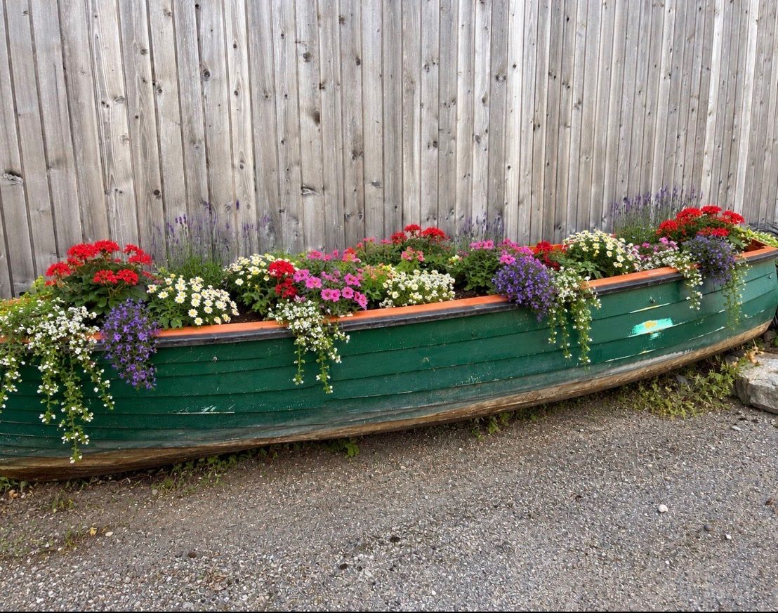 Barche: Bateau pour bricoleur – Difettoso da Gals venduto da dadoune13 5