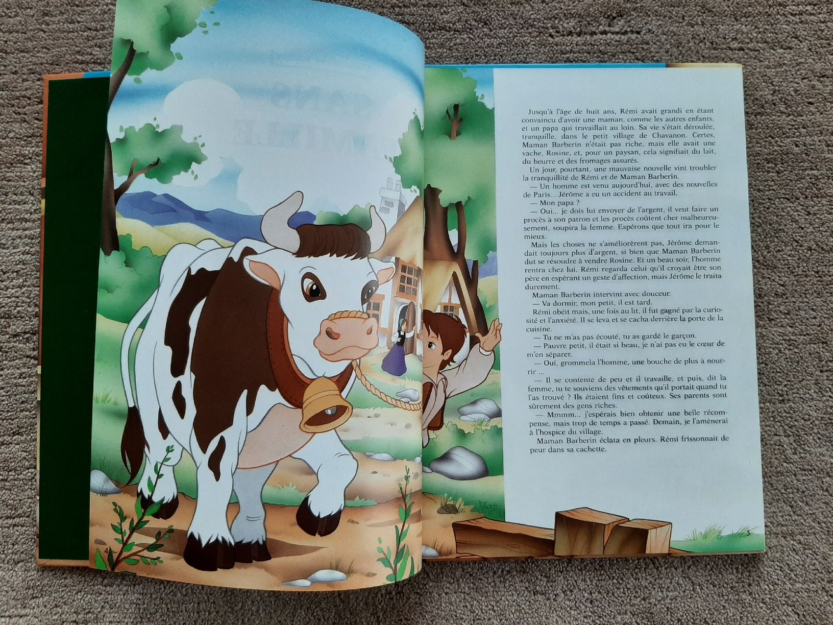 Libri: Livre Sans Famille – Usato da Wittenbach venduto da lukelu 1
