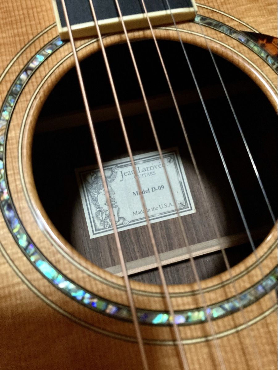 Larrivée Musikinstrumente: Larrivée D-09 Rosewood Dreadnought – Gebraucht aus Glattfelden von Pedals 2