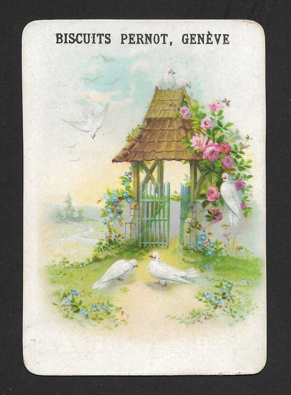 Carte collezionabili: Chromo Biscuits PERNOT Genève : Six blanches colombes, 1910s – Usato da Genève venduto da Brindisina2019