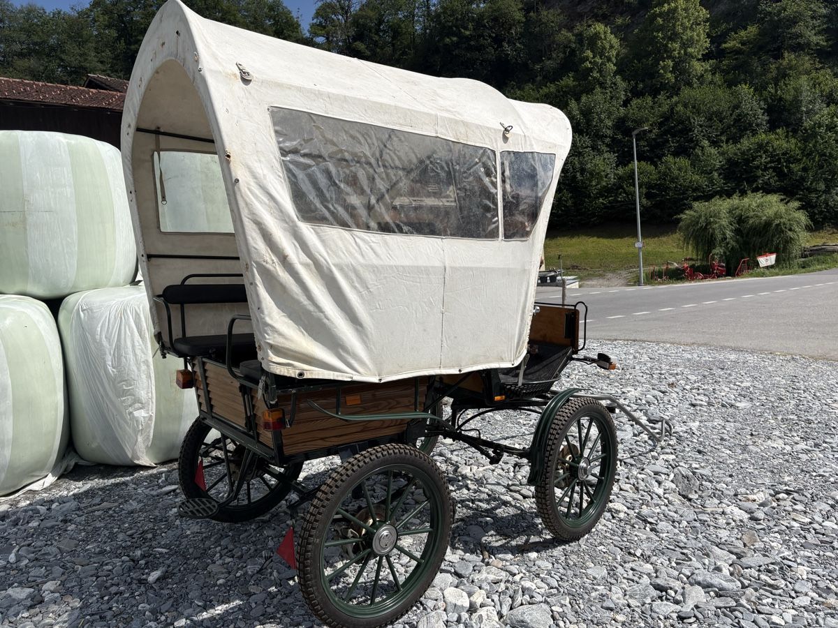 Calèches: Wagonette Planwagen Kutsche – D'occasion à Fürstenaubruck par Reddog6 1