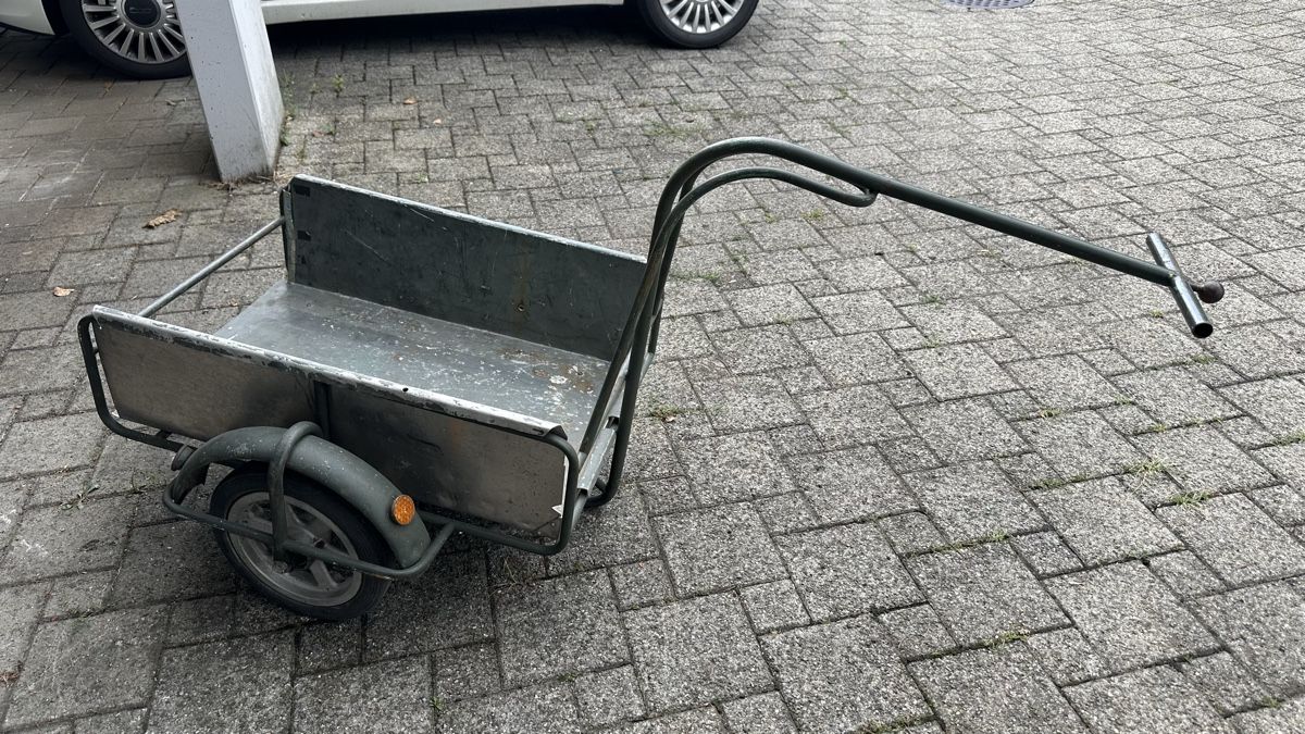 Rimorchi: Mofa / Velo Anhänger – Usato da Schmerikon venduto da ahalef