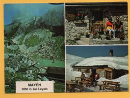 LEYSIN Restaurant Refuge de Mayen