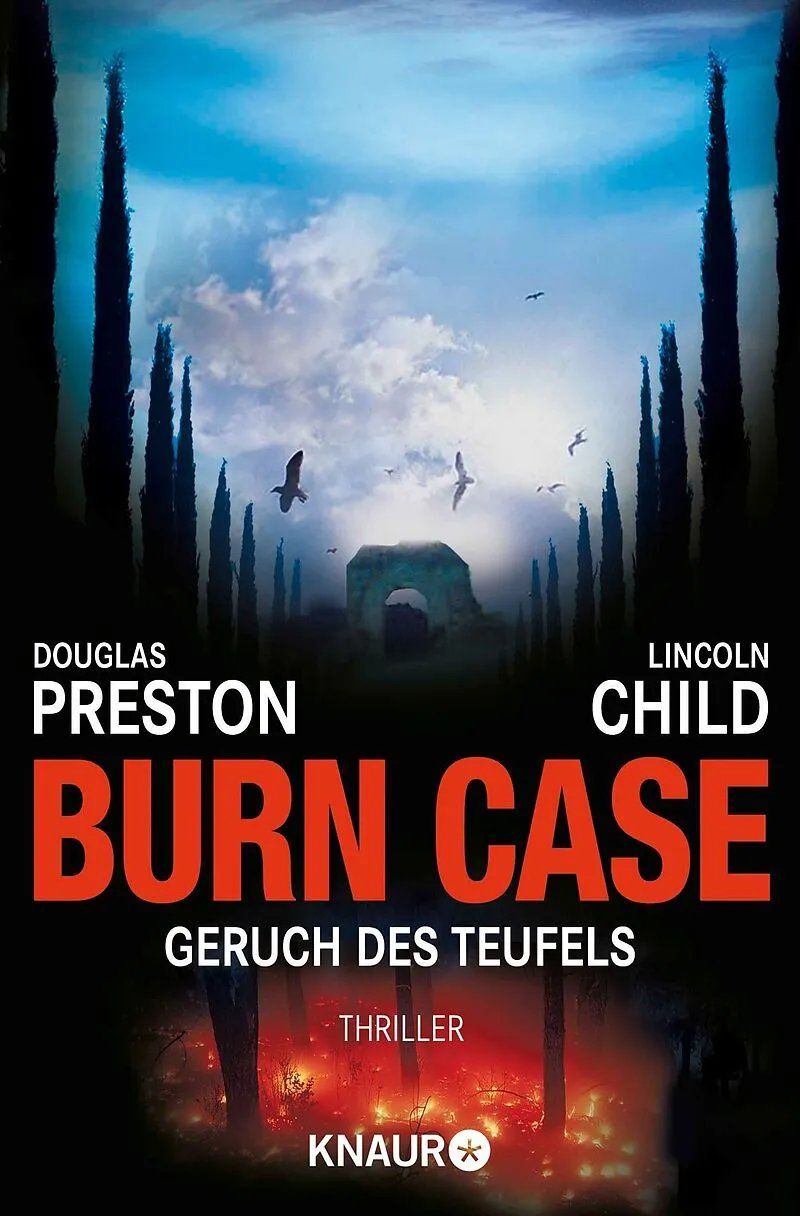 Libri: 10 Krimis/Thriller – Usato da bern venduto da jeannie2006 2