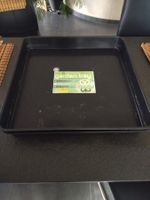 Anzuchtschale, Tray 60x60x7cm, ABHOLUNG Wattwil oder Rüti