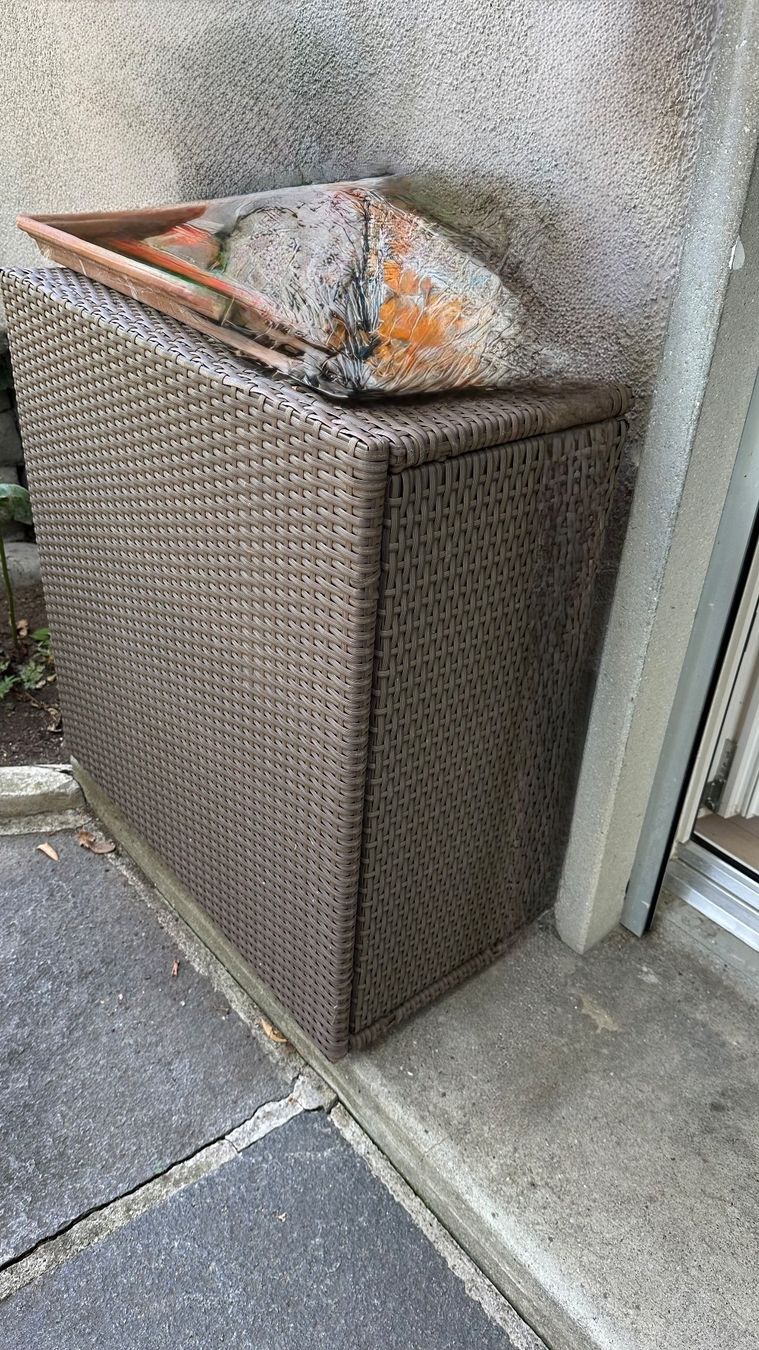 Poltrone: Rattan Lounge – Usato da zürich venduto da Veilchen44 2
