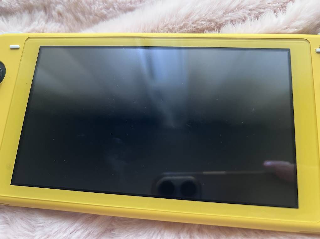 Konsolen: Nintendo switch lite – Gebraucht aus Perroy von Tatian_A 3