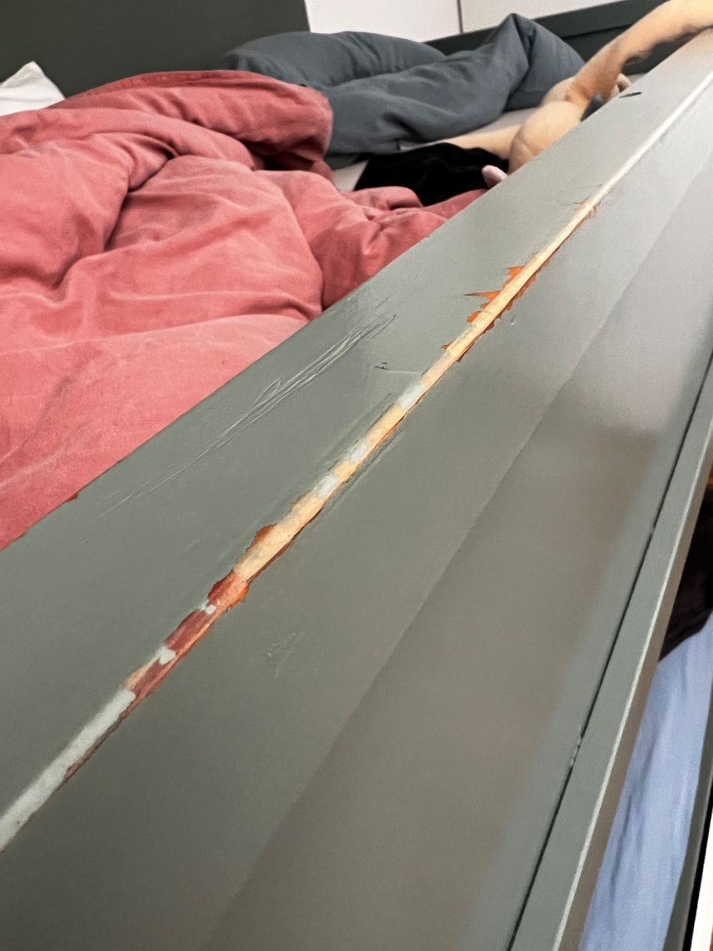 Letti: Etagenbett – Usato da Zürich venduto da JeDuzurich86 3