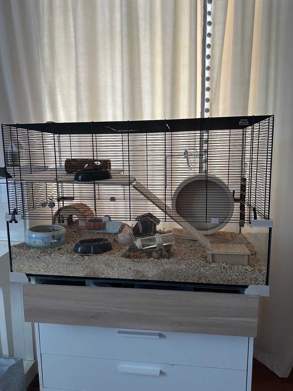 Cages, transport & sécurité: Hamster cage – D'occasion à Zürich par rom_y6h6