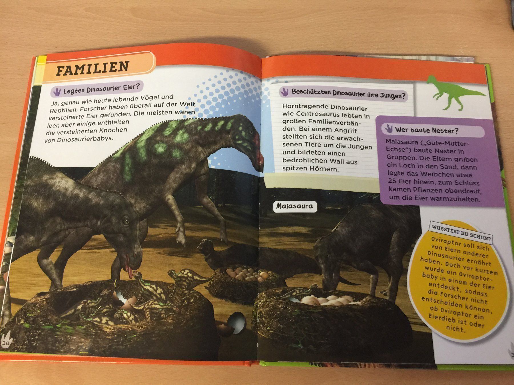 Libri: Warum hatten Dinosaurier Schuppen? – Usato da Glattfelden venduto da cybermaxx 6