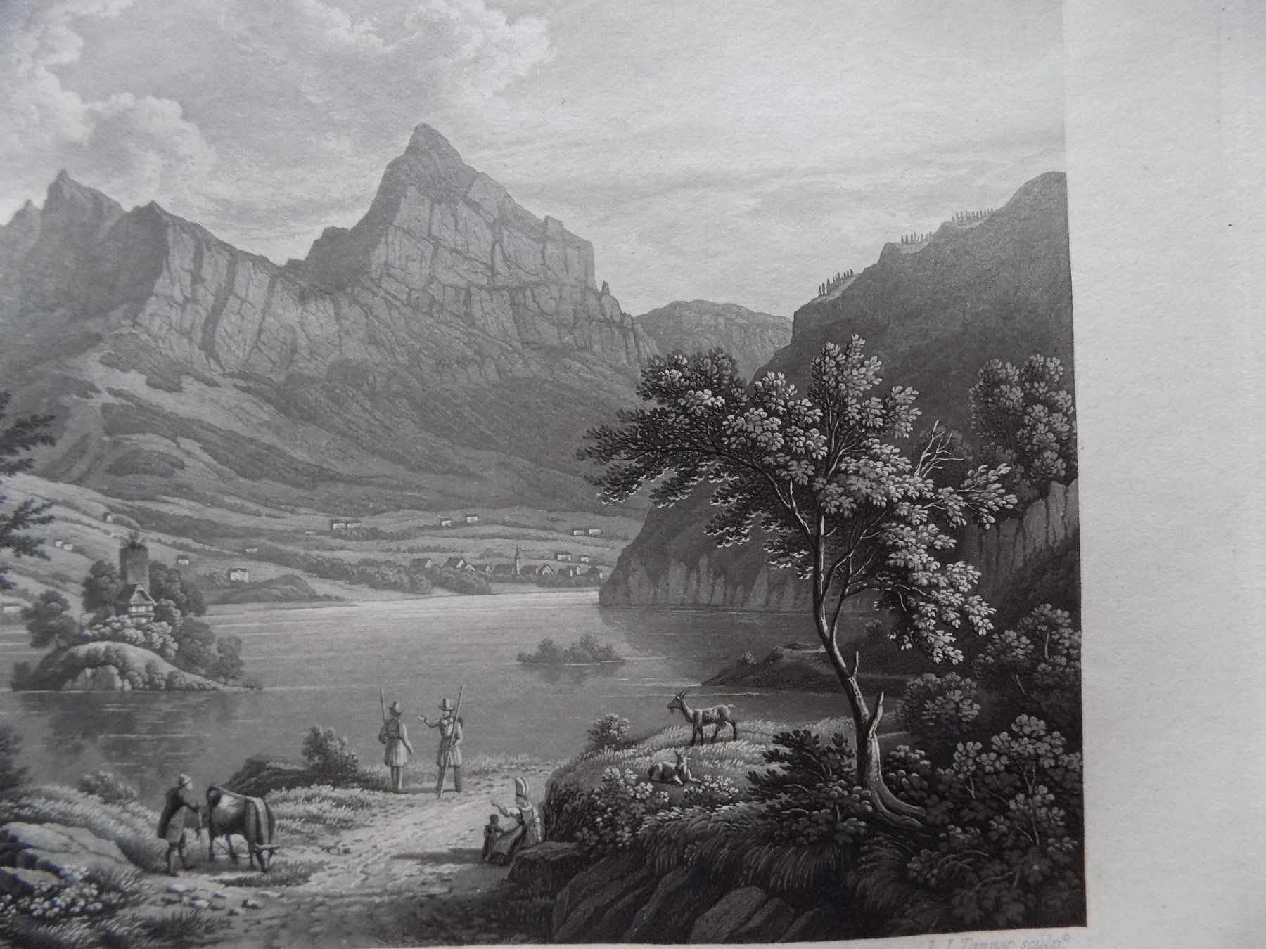 Stiche: Lauerzersee Schwanau Mythen – Gebraucht aus Risch von Rischli15 9