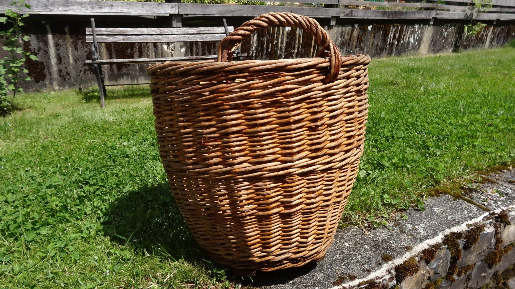 Altro per la casa: grosser Weidekorb Durchmesser 50cm / 45cm hoch – Usato da Anwil venduto da C-DAIHA 1