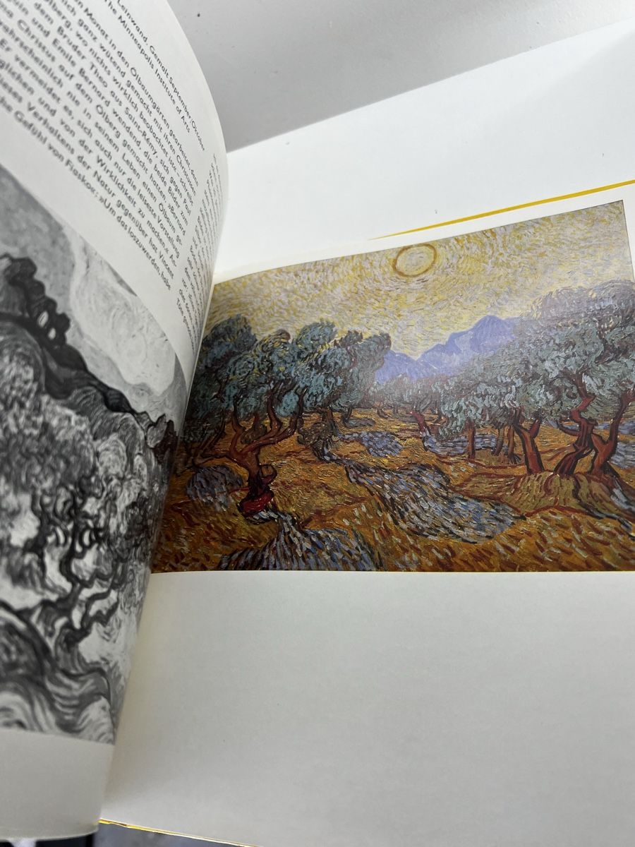 Bücher: Vincent van Gogh - Kuno Mittelstädt – Gebraucht aus Wettingen von NickInc 6