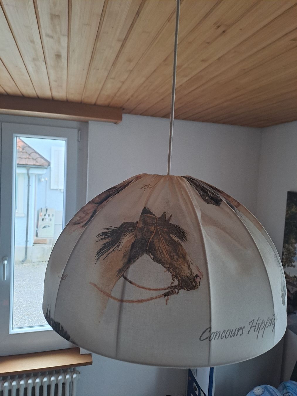 Lampade: Kinderhängelampe mit Pferdemotiv. – Usato da Kölliken venduto da Rwolfer 3