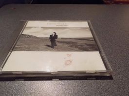 CD Tanita Tikaram, ancient heart
