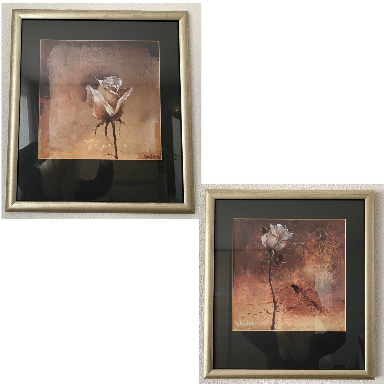Foto & Immagini: 2 Bilder 45x49cm mit Rosenmotiv – Usato da Reichenburg venduto da Noxima