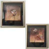 2 Bilder 45x49cm mit Rosenmotiv