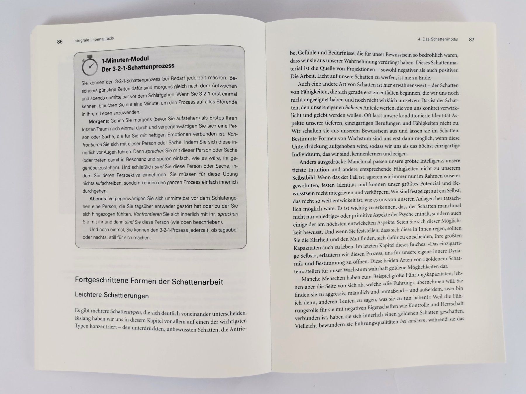 Bücher: BUCH Integrale Lebenspraxis - ein Übungsbuch – Gebraucht aus Schaffhausen von Restwert_SH 4