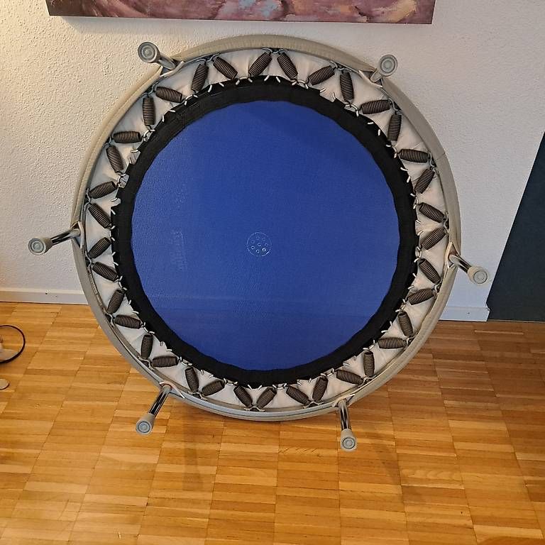 Trampoline:  Trampolin (Mini Trampolin) Trimilin – Gebraucht aus Neftenbach von sam_jbb5 2