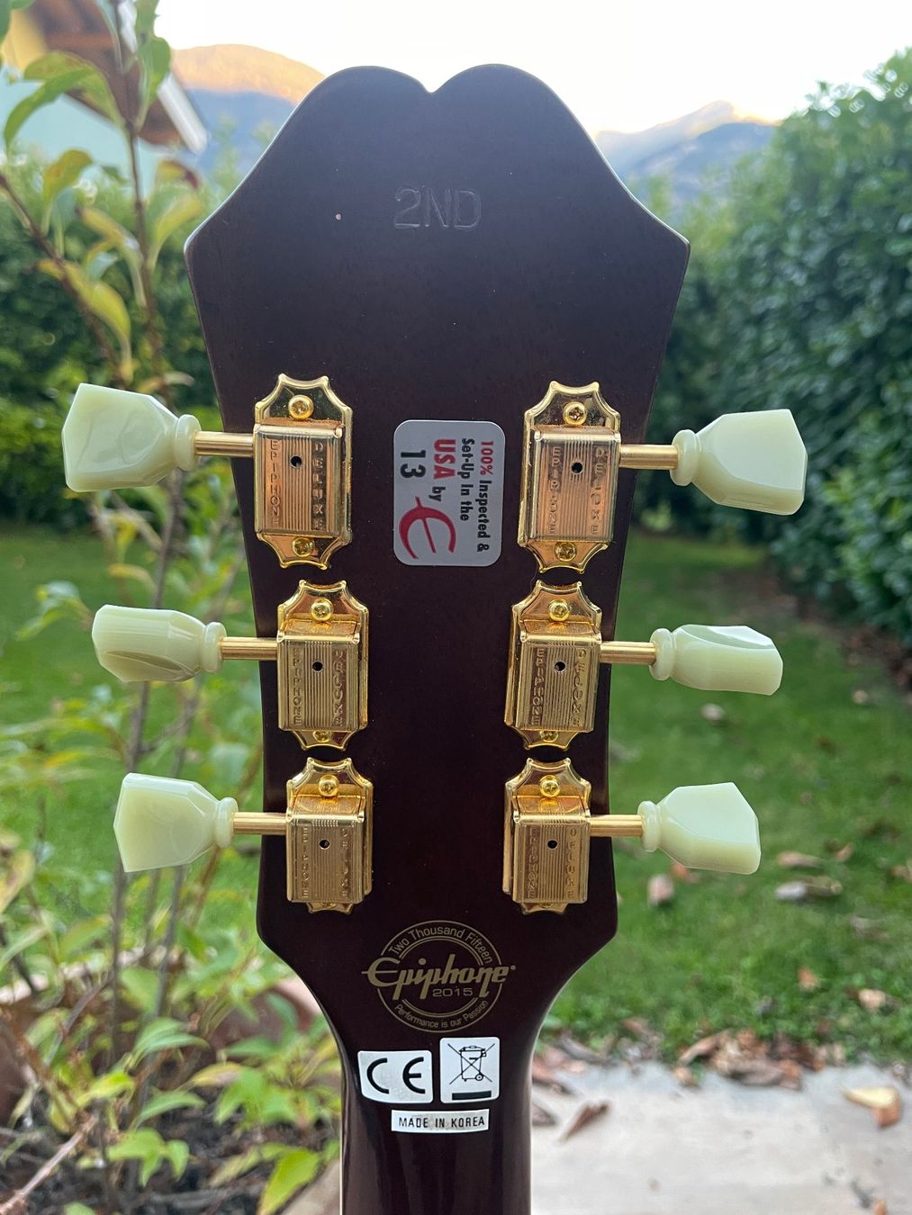 Epiphone Strumenti musicali: Epiphone Limited Edition 2016 ES-295 Premium – Nuovo (secondo la descrizione) da Leytron venduto da aco_d52m 6