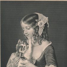 Profile image of sammlung_rares