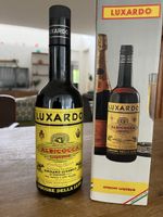 Bouteille neuve liqueur d’abricot Luxardo Albicocca