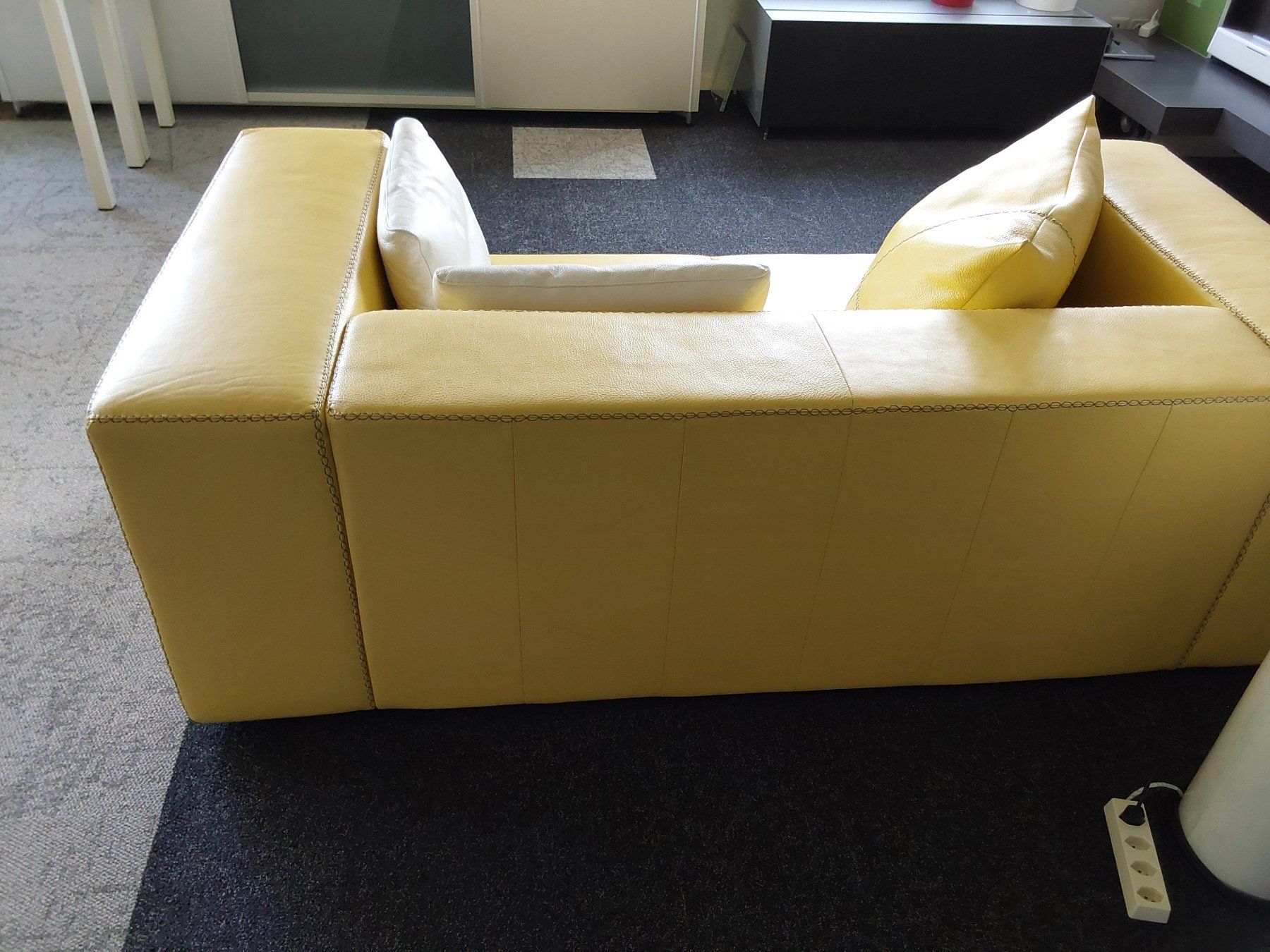 Divani: LEDER SOFA – Usato da Rupperswil venduto da Geni22 3