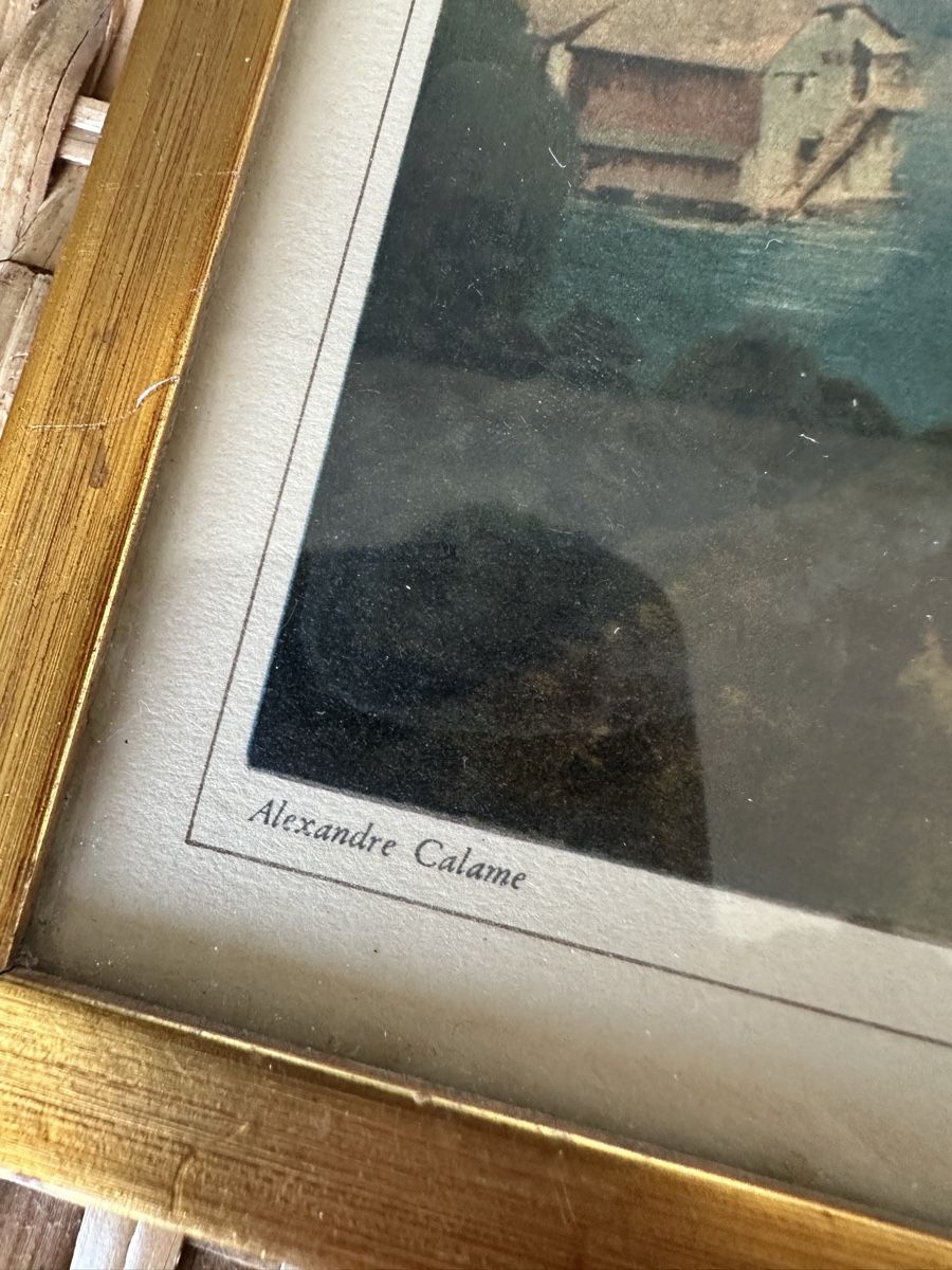 Foto & Immagini: Alexandre Calame Bild Rhone Genf – Usato da Ebikon venduto da Gaenggeliwaar 1