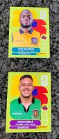Panini Stickers
