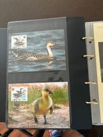 WWF-Briefmarken-Sammlung im Album