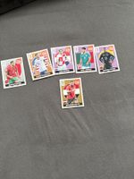Panini WM Extra Sticker