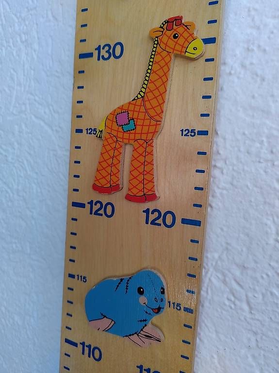 Misurare: Misuratore di altezza x bimbi – Usato da Sessa venduto da uza_x5jm 4