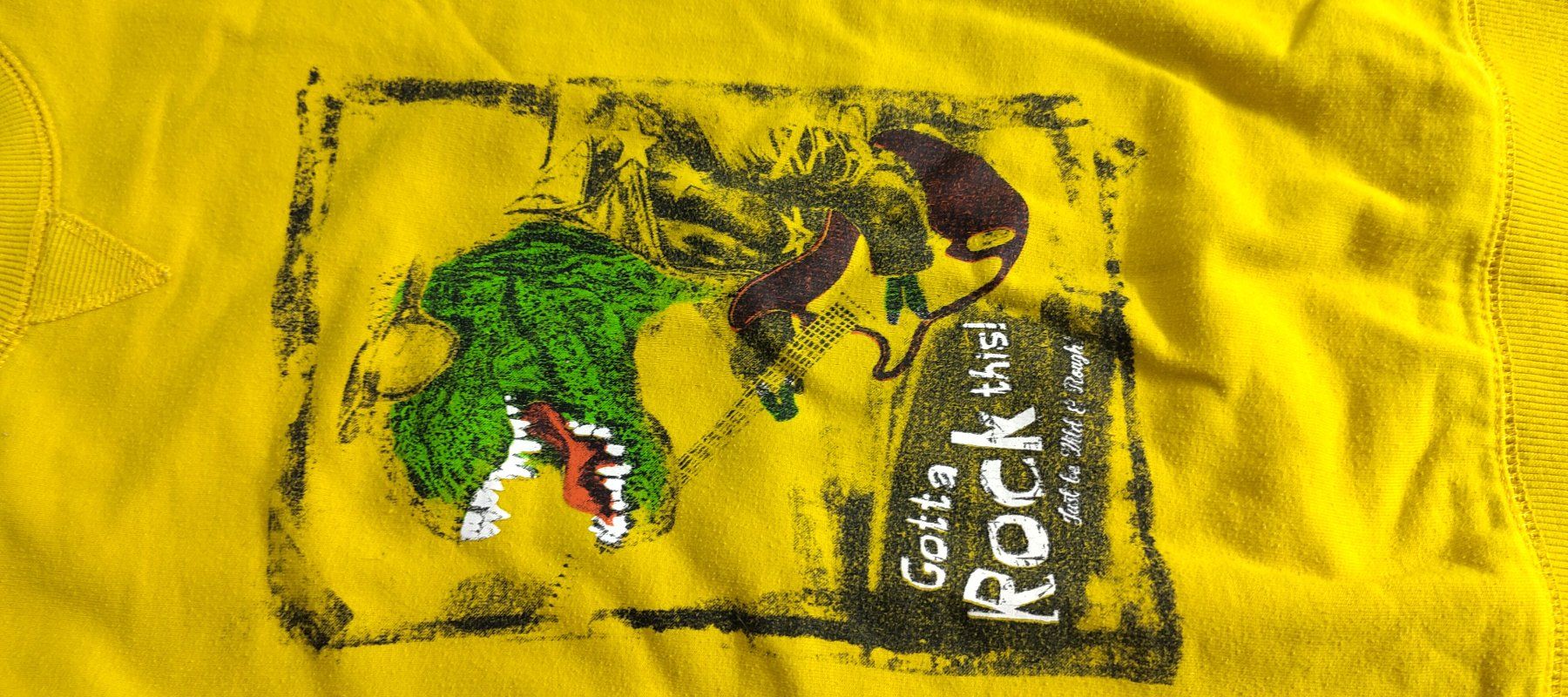 Pullover & Sweatshirts: Kinder Sweatshirt Gelb Pullover mit Dinosaurier, Gr. ca. 116 – Gebraucht aus Felben-Wellhausen von Awallner 1