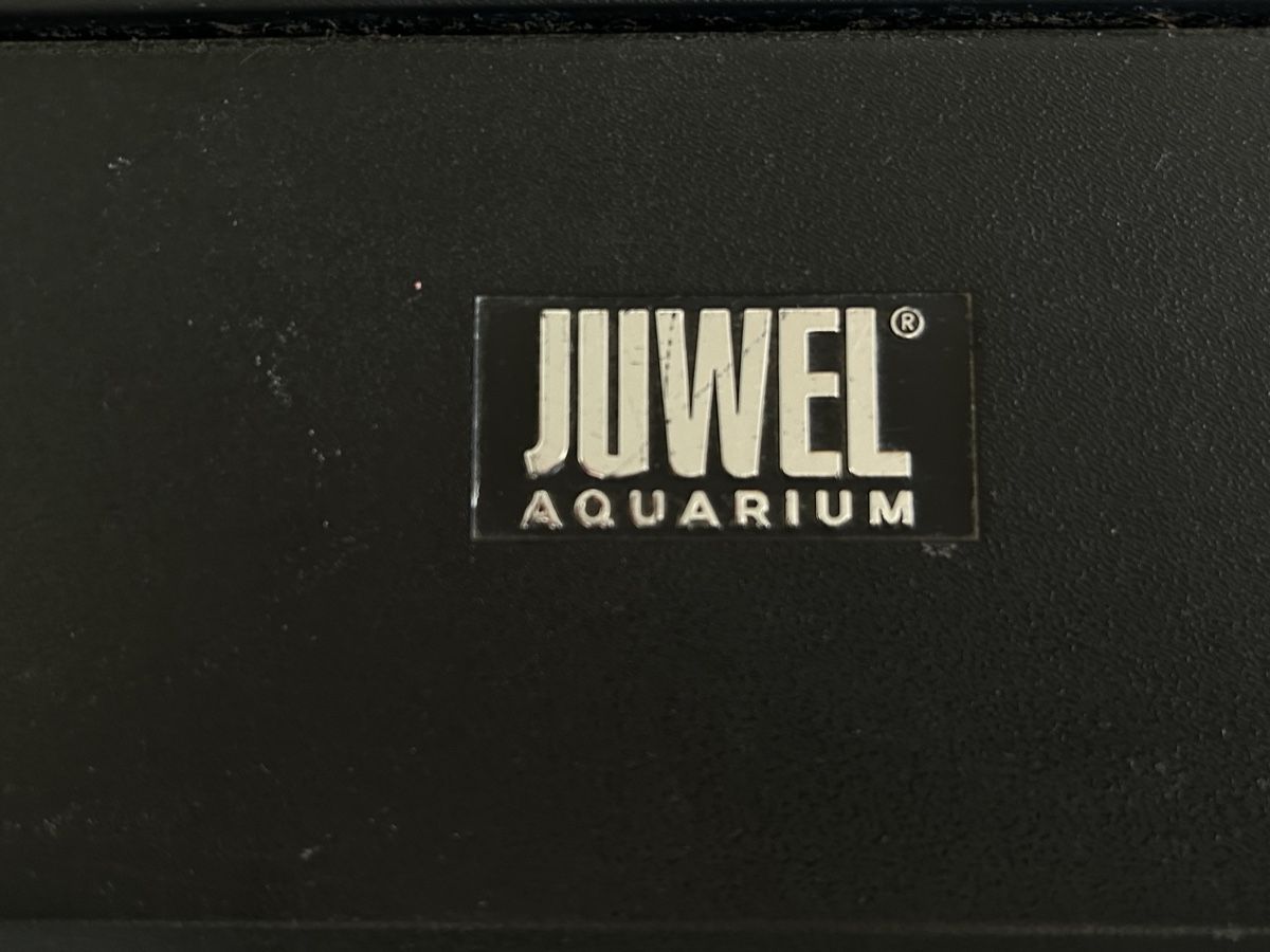 Acquari: Aquarium mit Zubehör – Usato da Küttigen venduto da Biendli0 9