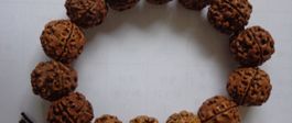 WaldnussKern Armband
