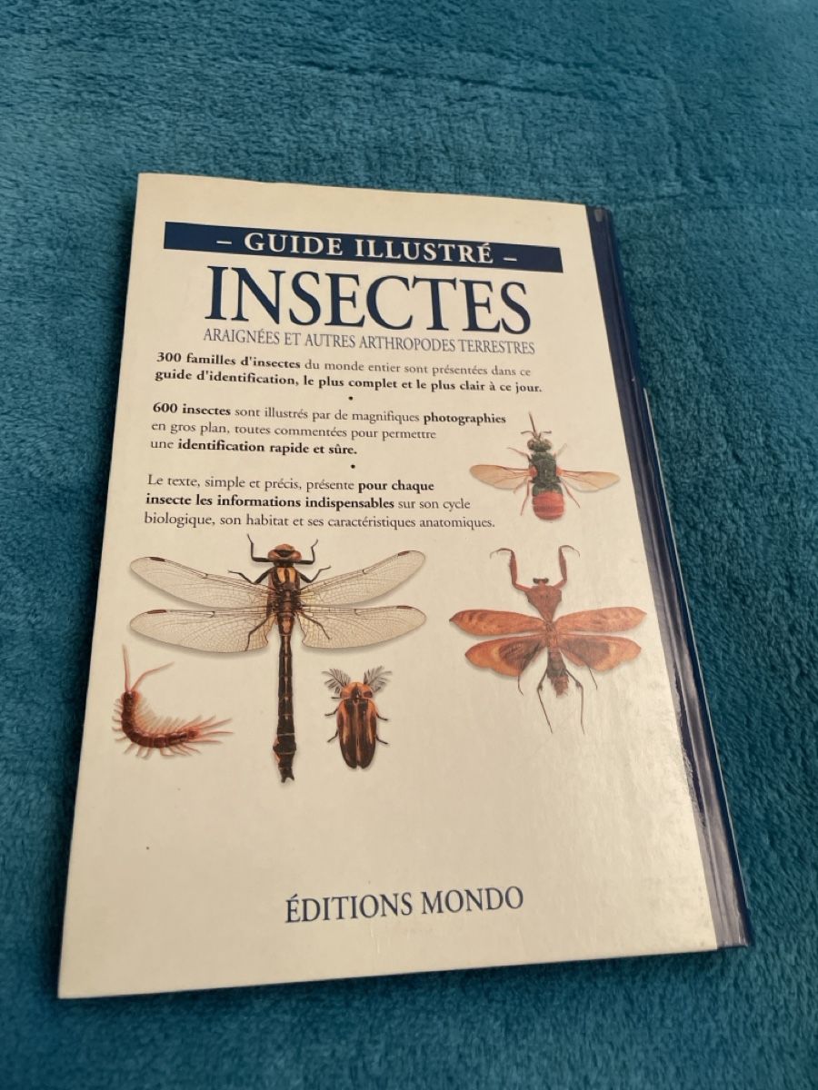 Libri: Guide Illustré Insectes, Araignées et Arthropodes Terrestres – Usato da Buchillon venduto da Samui3 1