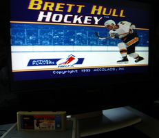 SNES: Hole in one Golf + Brett Hull Hockey
