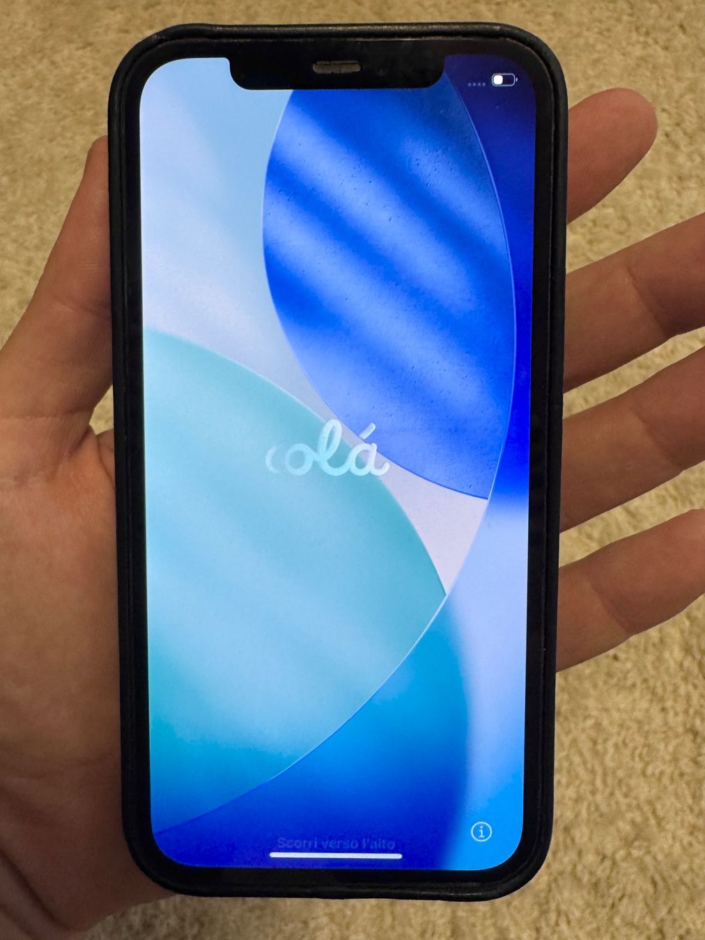 Apple Telefoni cellulari / Smartphones: iPhone 12 Pro, 256GB – Usato da Yverdon-les-bains venduto da AntoninoVega 4