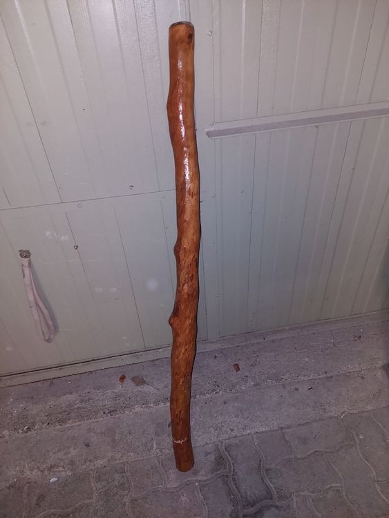 Didgeridoo Kaufen auf Ricardo