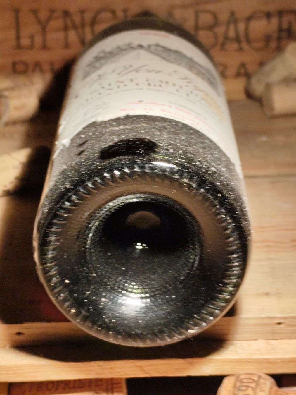 Vino: 1982 Saint-Emilion GCC Château Yon-Figeac – Nuovo (secondo la descrizione) da Büsserach venduto da Vintage-vins 3