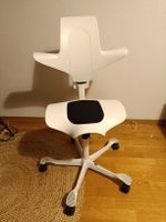 Chaise de bureau HAG Capisco Puls 8010