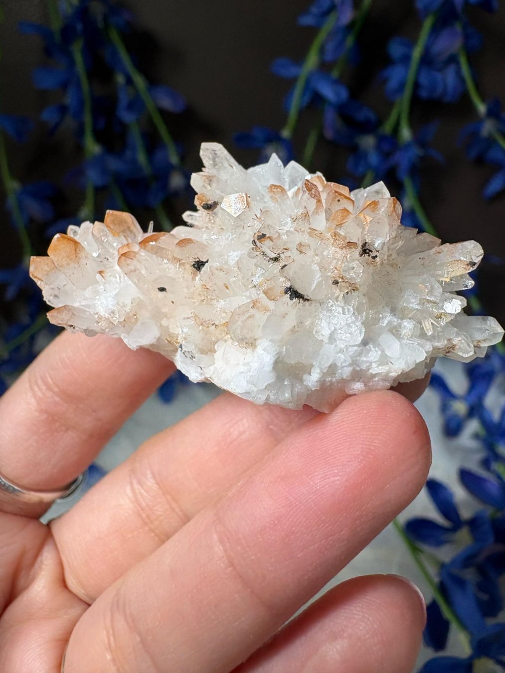 Minerali & Pietre curative: Quarz-Cluster mit rotem Hämatit – Nuovo (secondo la descrizione) da Neuheim venduto da m.hald 1