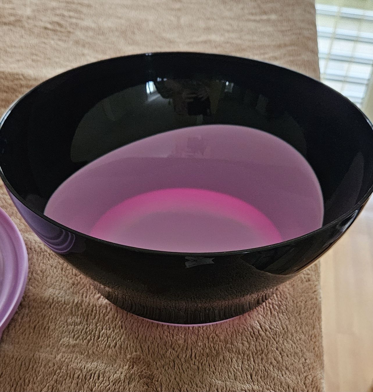 Tupperware Contenitori & Simili: Eleganzia Schüssel 4.3l – Nuovo e nell'imballaggio originale da Hasle b. Burgdorf venduto da buddle32 1
