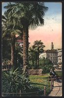 AK Lugano, Parkpartie mit Palmen, 1922