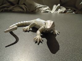 Gecko formano, silberfarbig