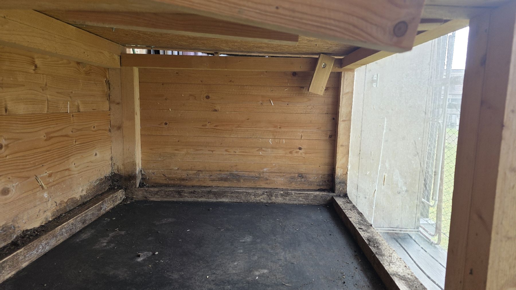 Gabbie, trasporto & Sicurezza: Meerschweinchenstall – Usato da Ossingen venduto da hoopie 6